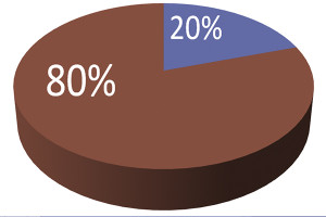 80-20 pie chart