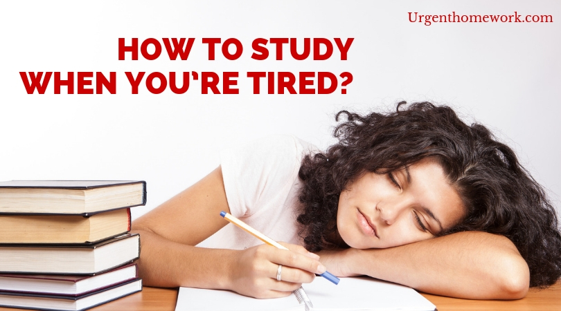 When Homework Is Useless >> How To Study When You Re Tired Urgent Homework Blog When Homework Is Useless >> How To Study When You Re Tired Urgent Homework Blog