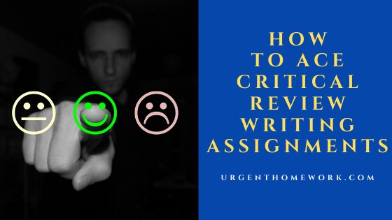 assignment ace reviews