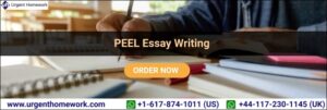 What is PEEL paragraph