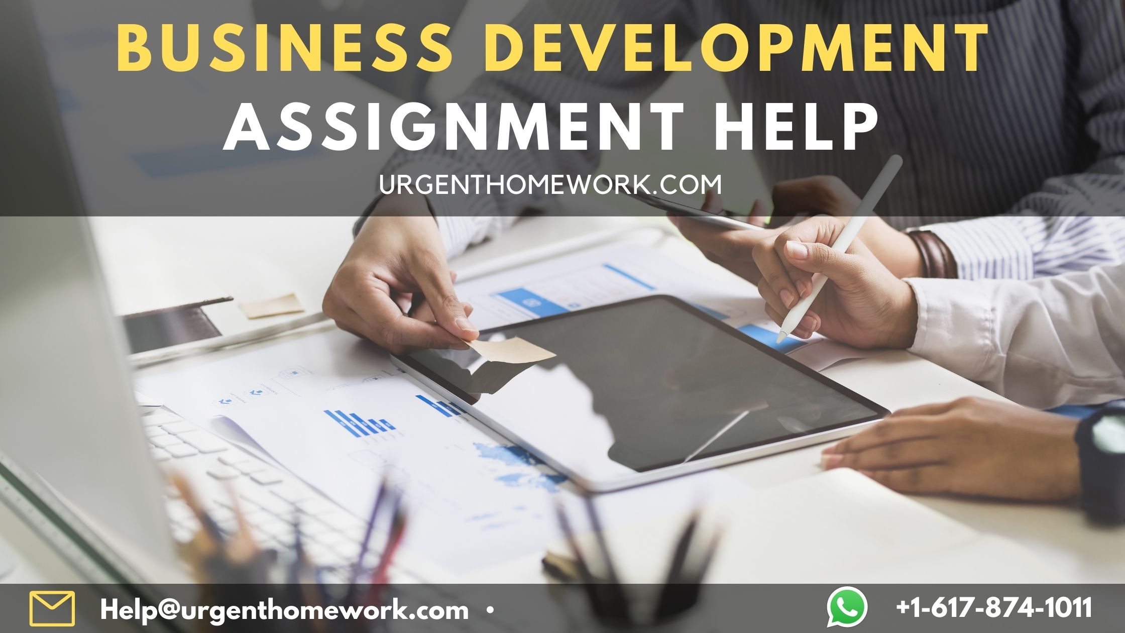 Business Development Assignment Help