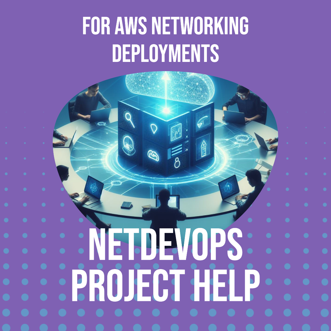 NetDevOps project help tutors for AWS networking deployments