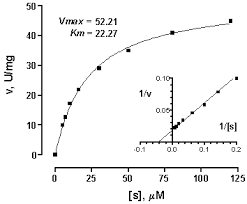 Chart, diagram Description automatically generated