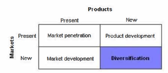 Corporate strategy directions Corporate strategy directions