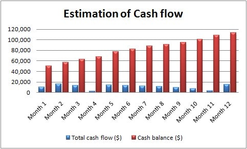 Estimation of cash flow Estimation of cash flow