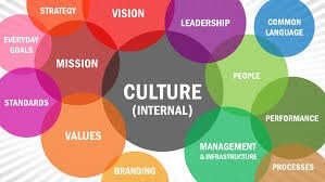 Organizational culture homework help