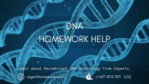DNA Homework Help