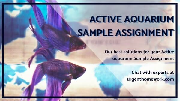 Active aquarium Sample Assignment