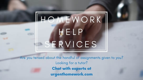 Assignment Help Services