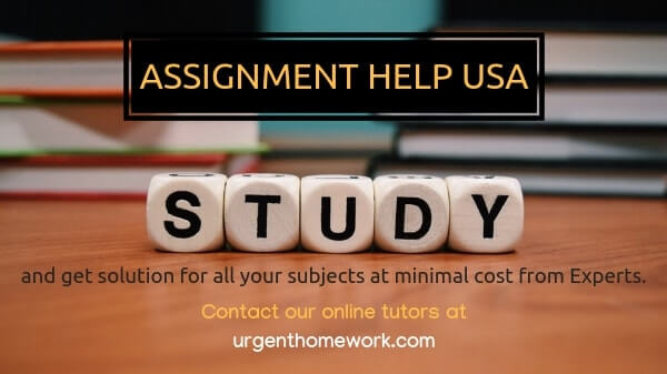 Assignment Help USA