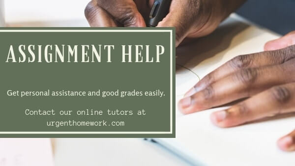 Assignment Help