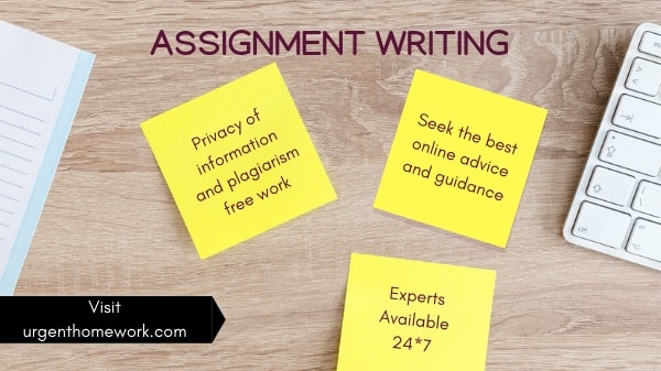 Assignment Writing Help