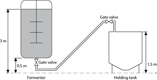 BENG1006 Diagram 1