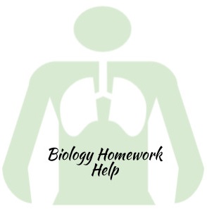 DNA Homework Help