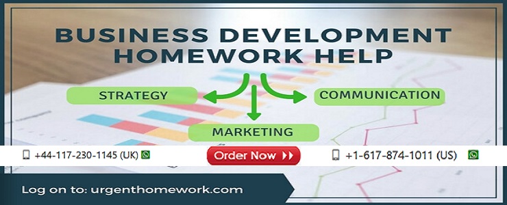 Business Development Homework Help
