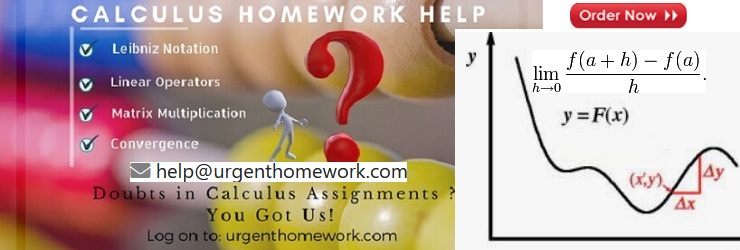 Calculus Homework Help