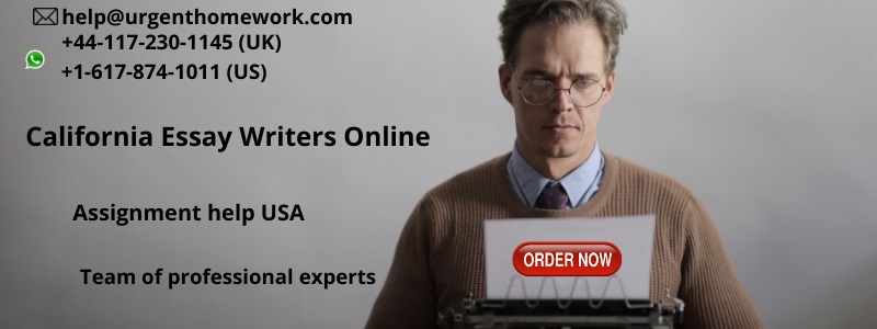 California Essay Writers Online