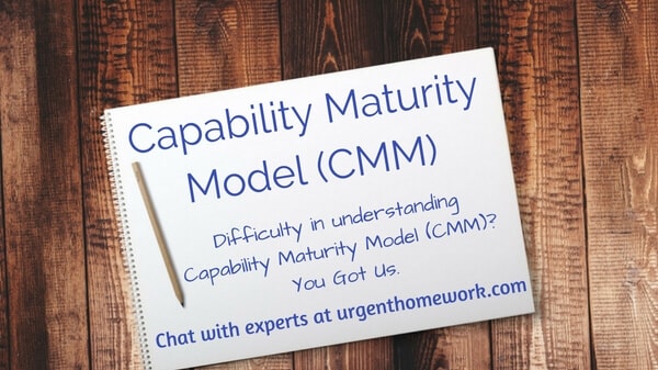Capability Maturity Model Homework Help