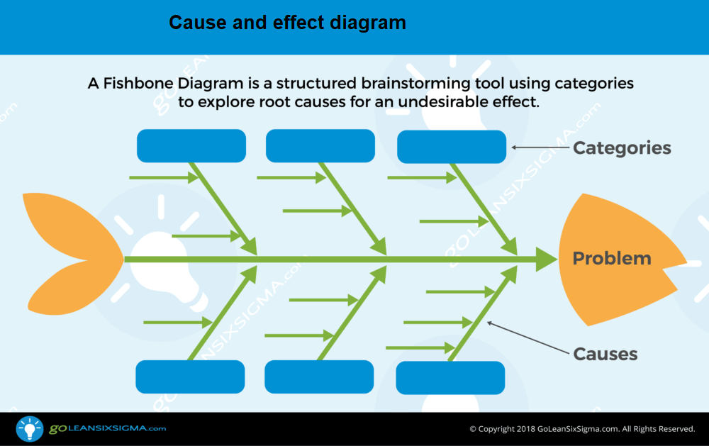 Cause and Effect Diagram