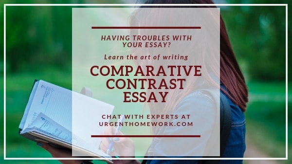 Comparative Contrast Essay Help