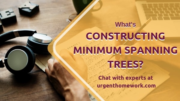 Constructing Minimum Spanning Trees Homework Help