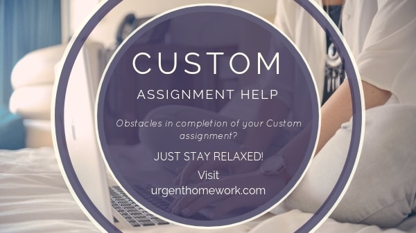 custom assignment help