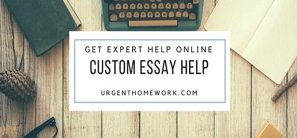 Custom Essay Help