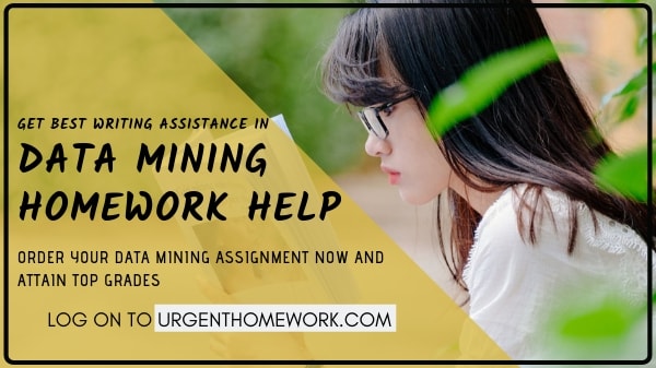 Data Mining homework Help