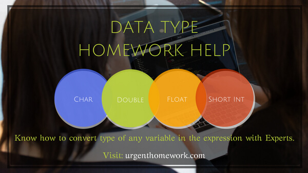 data type assignment help