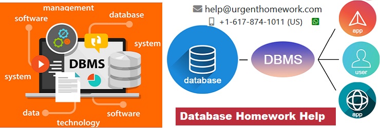 database homework help