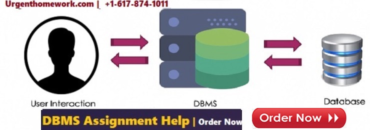 dbms assignment help