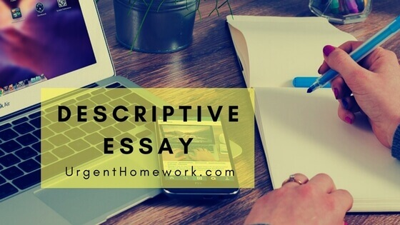 Descriptive essay help