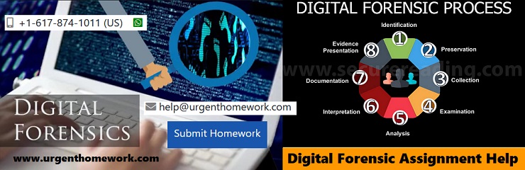 Digital Forensics Assignment Help