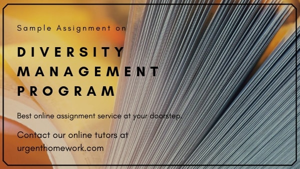 Diversity Management Program Assignment Help