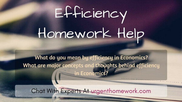 Efficiency Homework Help