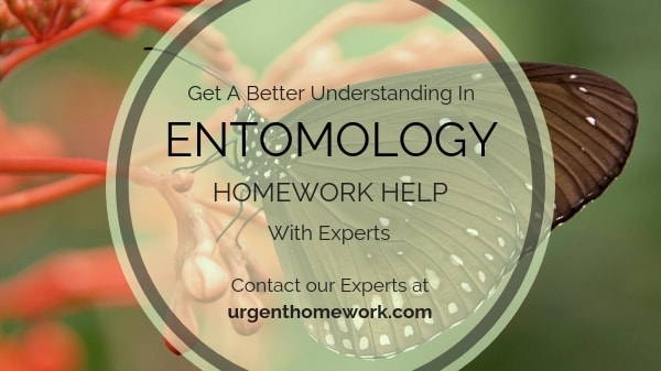 Entomology Homework Help