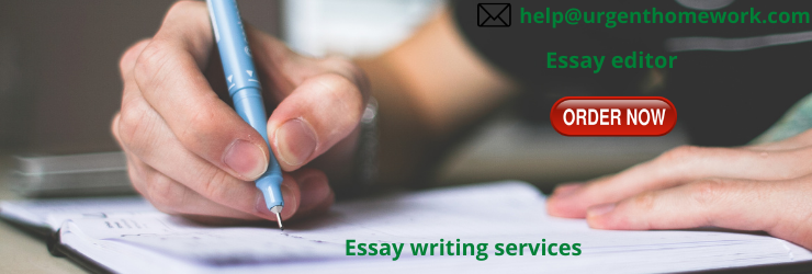 Essay editor