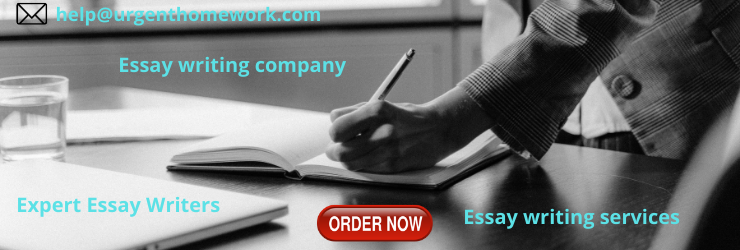 Essay writing company