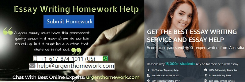 Essay writing Homework Help