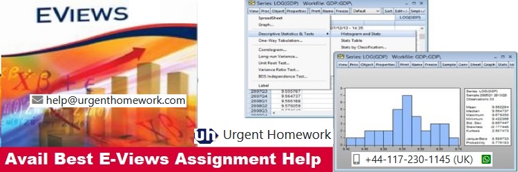 Eviews Assignment Help Eviews Assignment Help