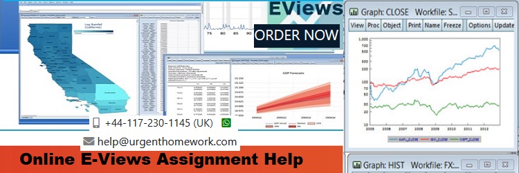 Eviews Homework Help
