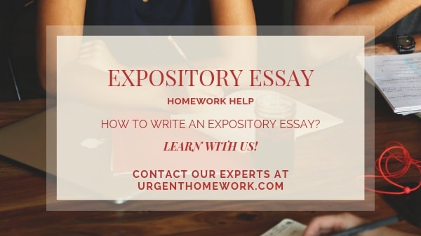 Expository Essay Homework Help