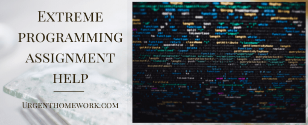 Extreme programming assignment help Extreme programming assignment help