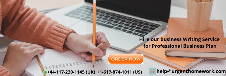 Hire our business Writing Service for Professional Business Plan