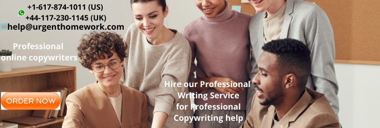Hire our Professional Writing Service for Professional Copywriting help