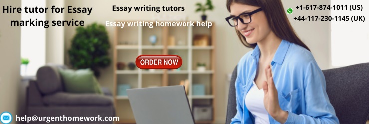 Hire tutor for Essay marking service
