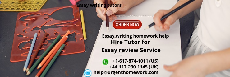 Hire Tutor for Essay review Service