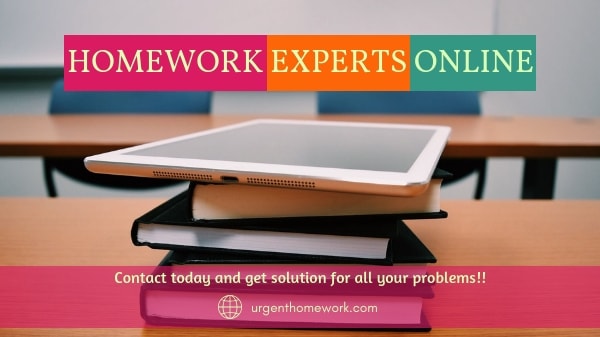 Homework Experts Online