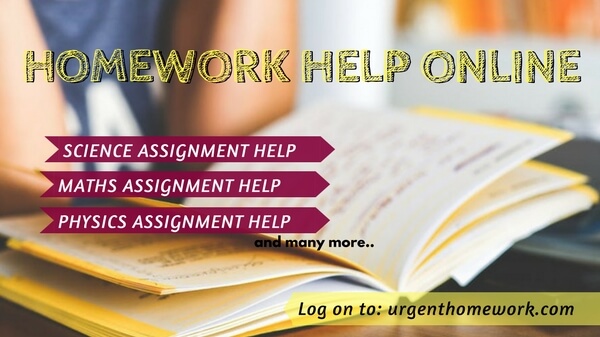 Homework Help Online