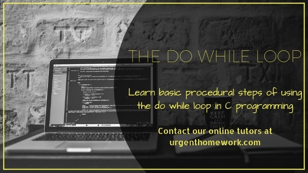 homework help with do while loop